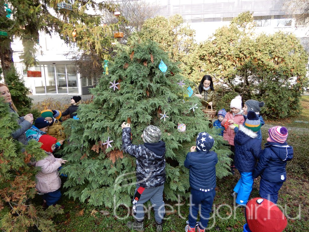 Fenyődíszítés a kórházban 13